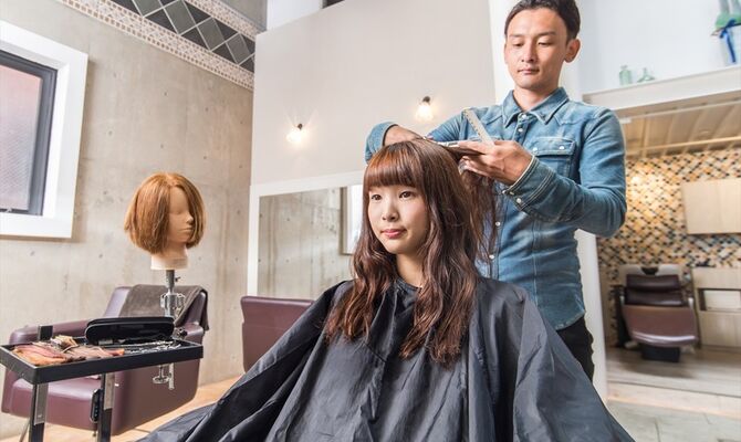 カットモデル